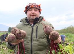 ‘Kırmızı elmas': Tarlada 10 TL , tezgahta 40 TL