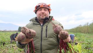 ‘Kırmızı elmas': Tarlada 10 TL , tezgahta 40 TL