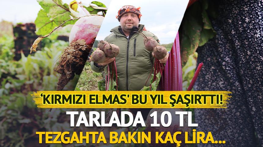 ‘Kırmızı elmas': Tarlada 10 TL , tezgahta 40 TL