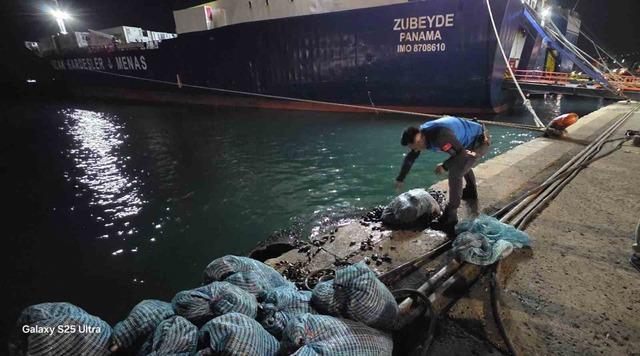 Samsun’da 300 kilo kaçak midye ele geçirildi 3