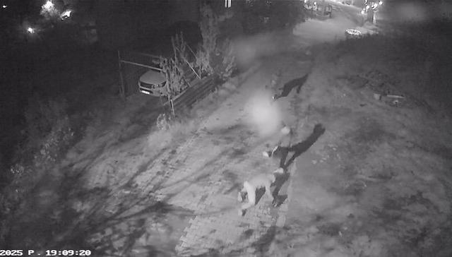 Altın çantasıyla evine girmek isteyen yaşlı adam gasbedildi: Dehşet anları kamerada 15