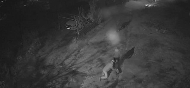 Altın çantasıyla evine girmek isteyen yaşlı adam gasbedildi: Dehşet anları kamerada 5