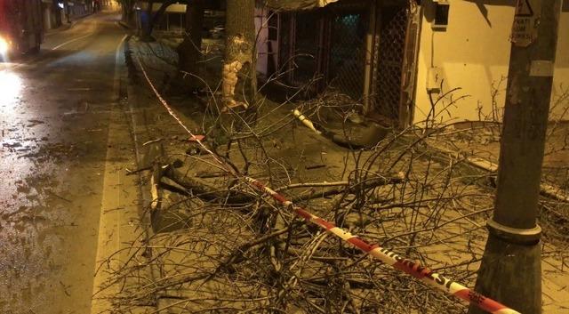 Beykoz’da ehliyetsiz sürücünün kullandığı otomobil ağaca çarpıp yola savruldu: 2 yaralı 3