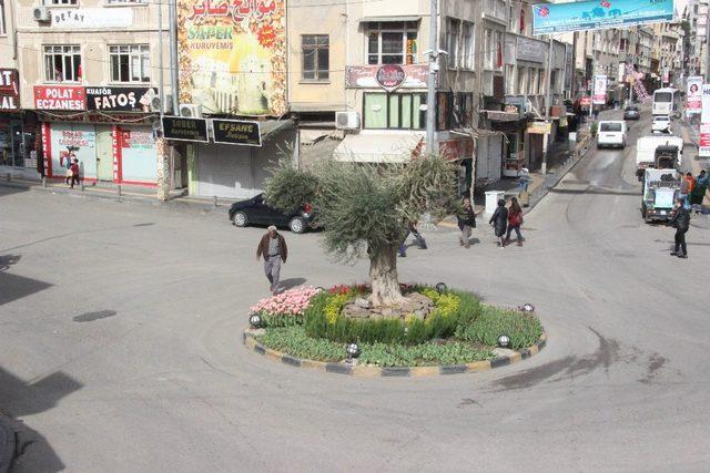 Afrin’de kontrol sağlandı, Kilis kahramanlık türküleri ile yankılandı