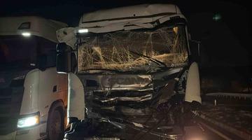 İki tır ve otomobilin çarpıştığı kazada bir kişi yaralandı