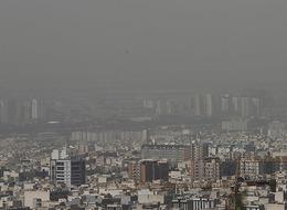 Hava kirliliği en çok kime zarar veriyor?