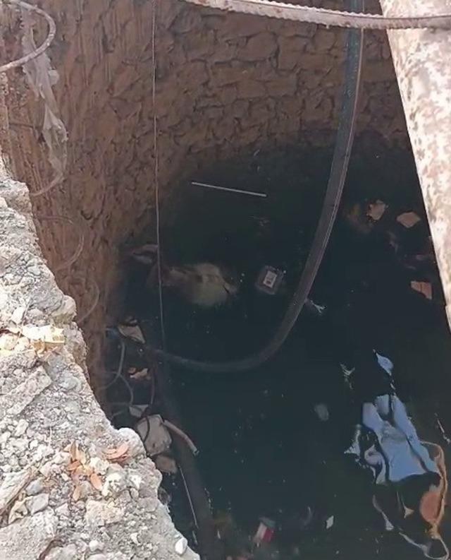 Kuyuya düşen keçiyi itfaiye kurtardı 2
