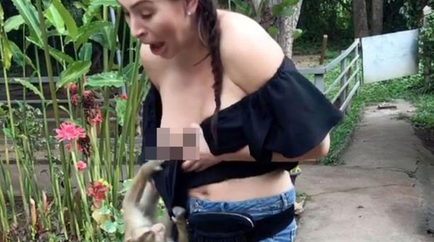 Genç kadını şoke eden maymun tacizi!