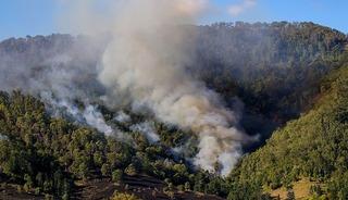Avustralya'da 50'den fazla orman yangını çıktı
