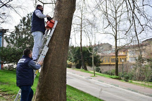 Kuş evleri Yıldırım’a renk kattı