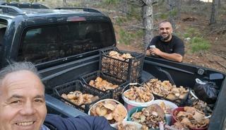 Çameli’de cintar bereketi