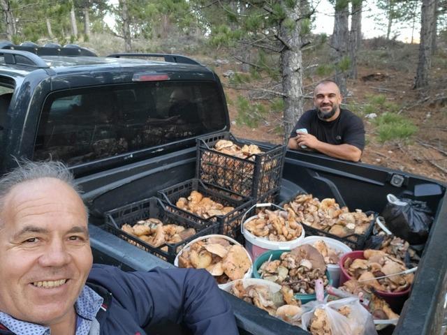 Çameli’de cintar bereketi