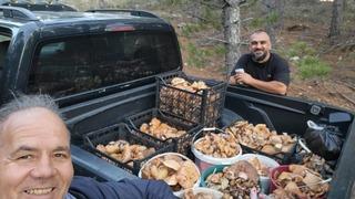 Çameli’de cintar bereketi