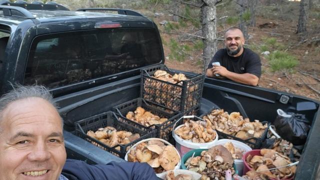 Çameli’de cintar bereketi