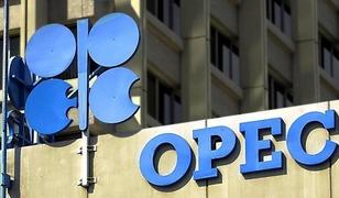 Petrol fiyatları i&ccedil;in kritik karar! Birleşik Arap Emirlikleri OPEC'ten ayrılıyor