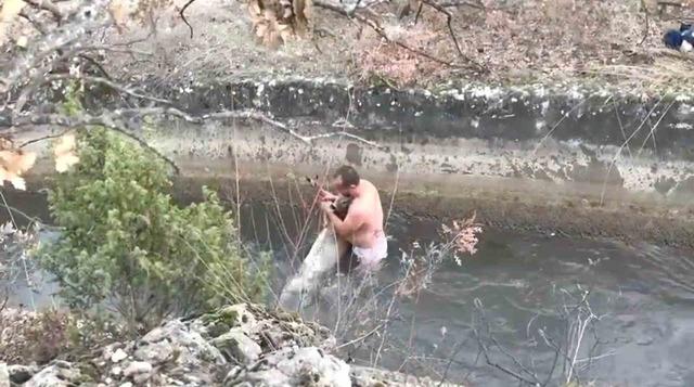 Kütahya’da su kanalına düşen karaca kurtarıldı 2