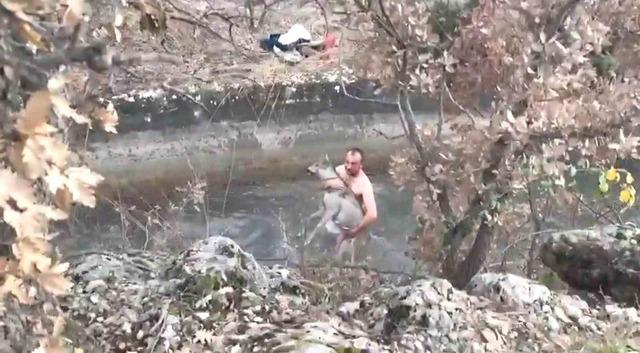 Kütahya’da su kanalına düşen karaca kurtarıldı 1