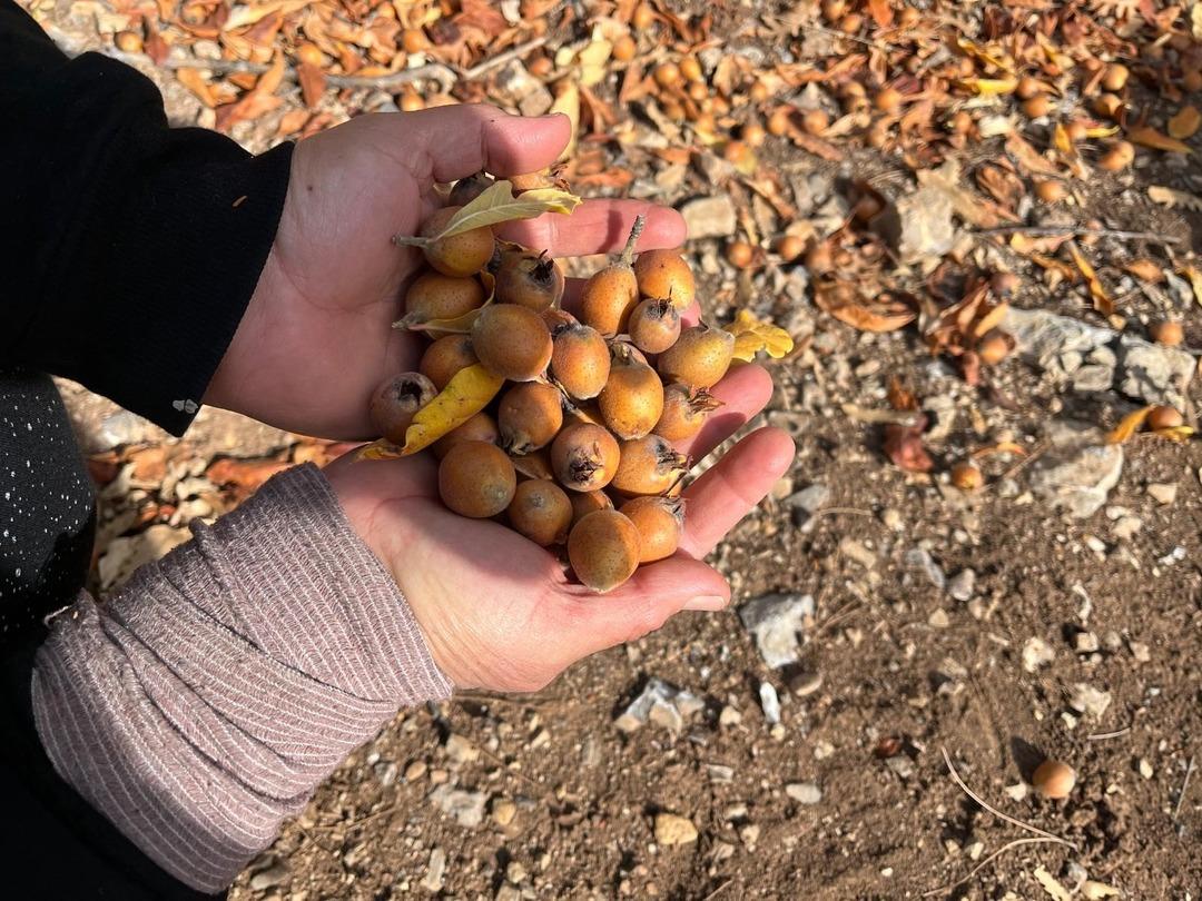 Gizemli kişi 30 yıl önce yapmış: Görünce şaşırdılar! Halka gelir oldu 1