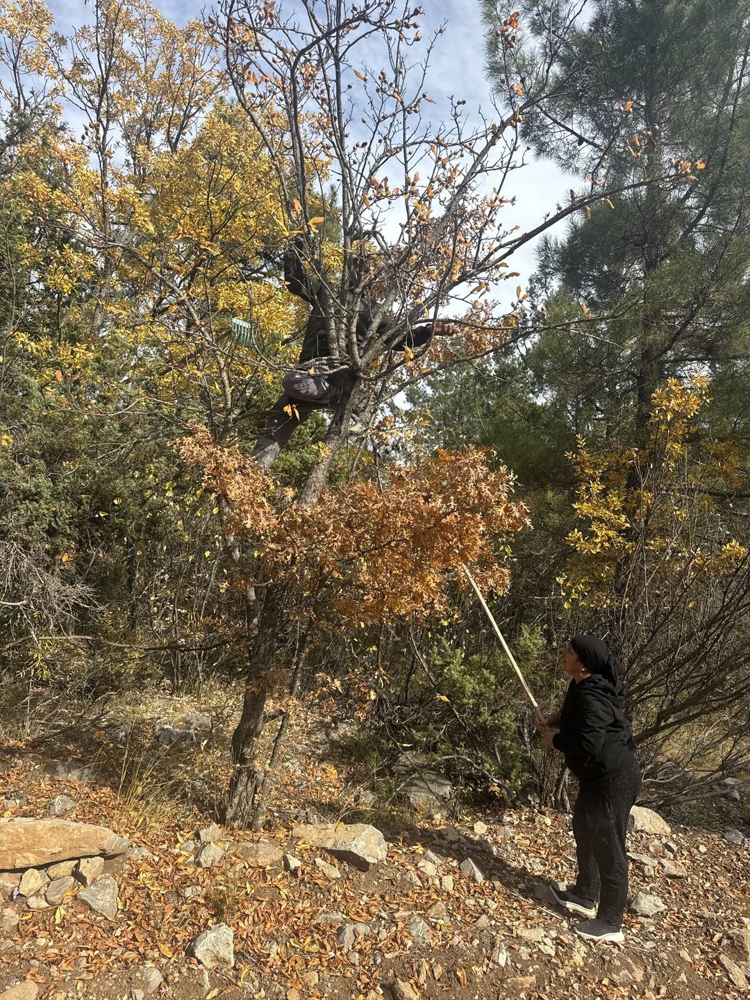 Gizemli kişi 30 yıl önce yapmış: Görünce şaşırdılar! Halka gelir oldu 2