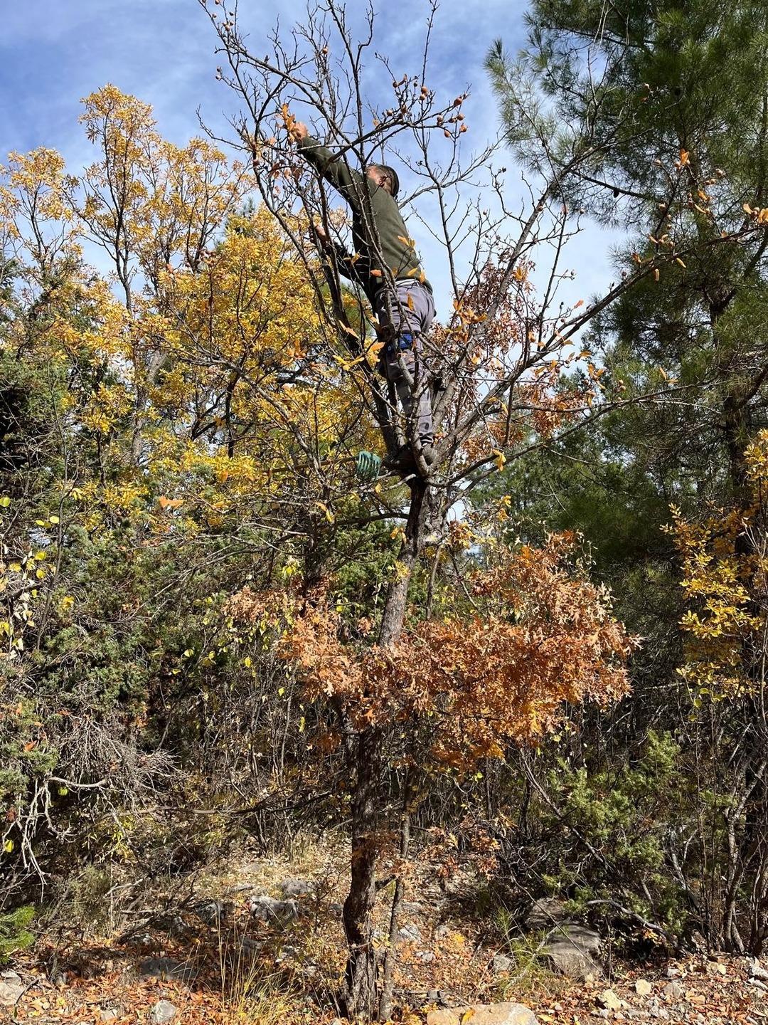 Gizemli kişi 30 yıl önce yapmış: Görünce şaşırdılar! Halka gelir oldu 3