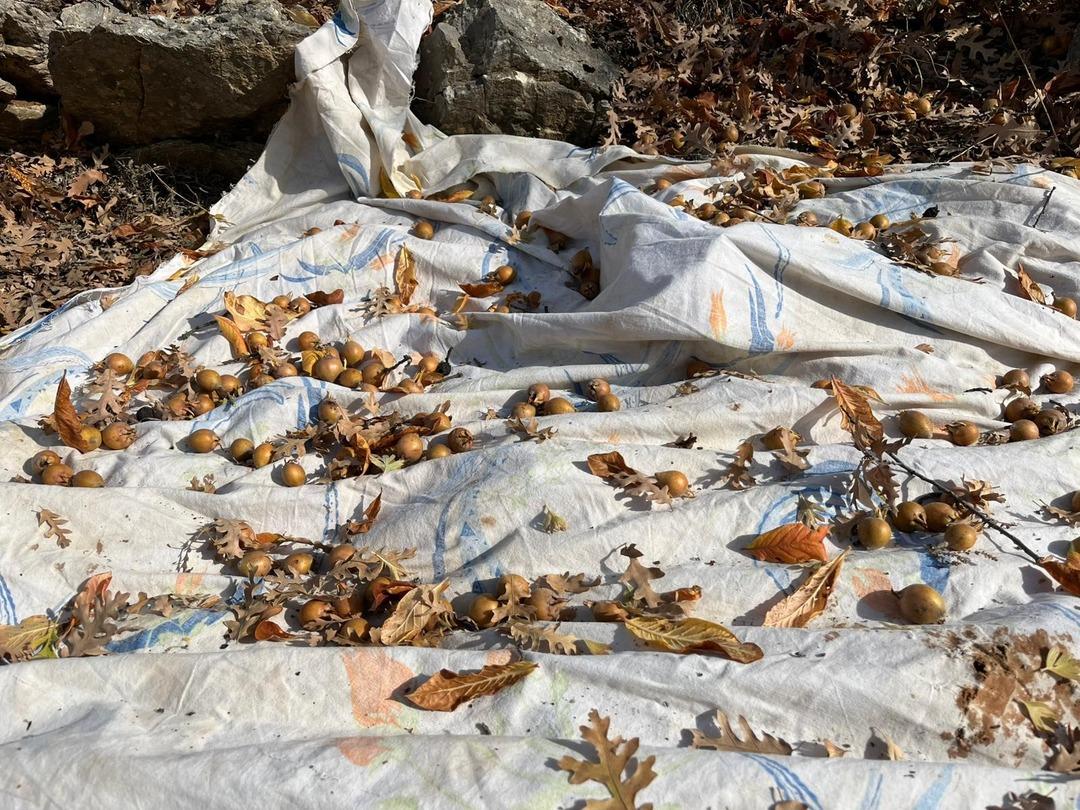 Gizemli kişi 30 yıl önce yapmış: Görünce şaşırdılar! Halka gelir oldu 4