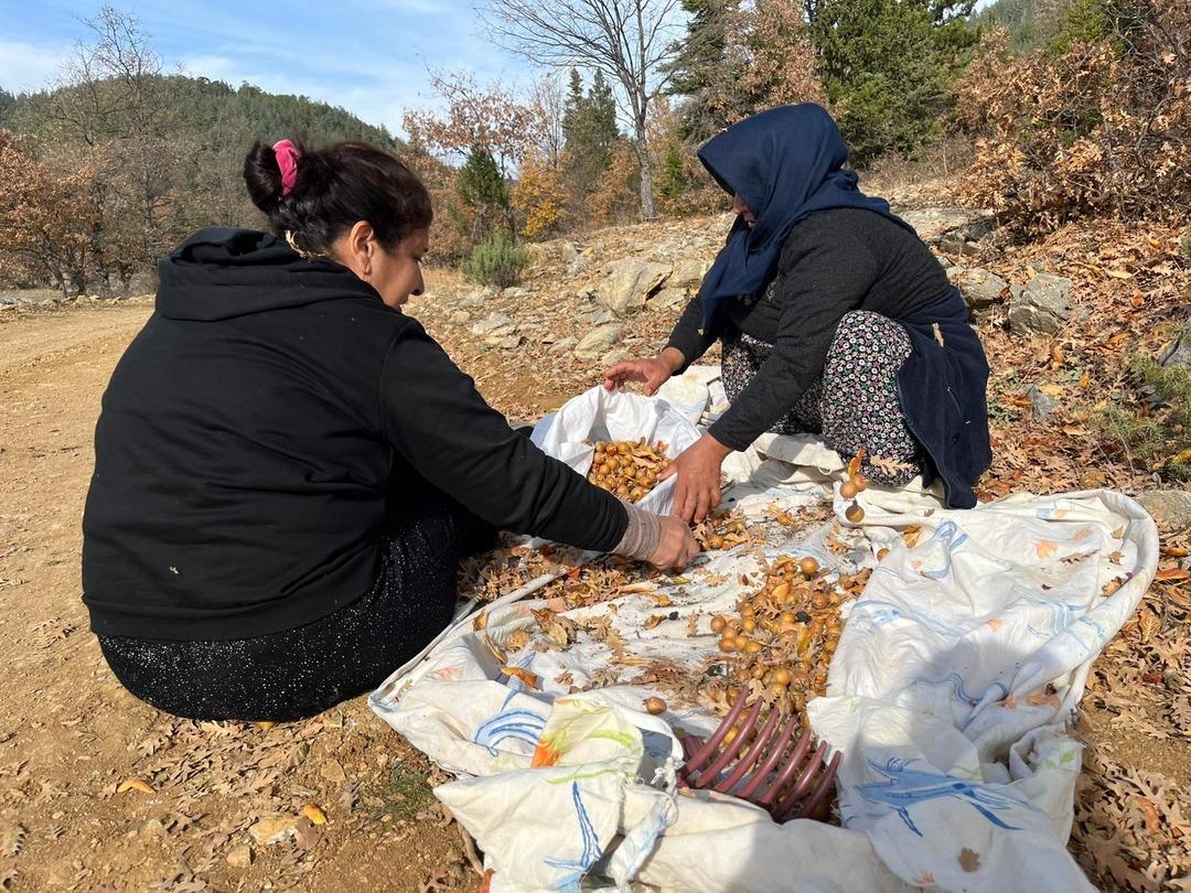 Gizemli kişi 30 yıl önce yapmış: Görünce şaşırdılar! Halka gelir oldu 5