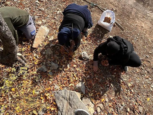 Gizemli kişi 30 yıl önce yapmış: Görünce şaşırdılar! Halka gelir oldu