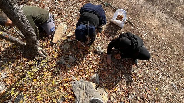 Gizemli kişi 30 yıl önce yapmış: Görünce şaşırdılar! Halka gelir oldu