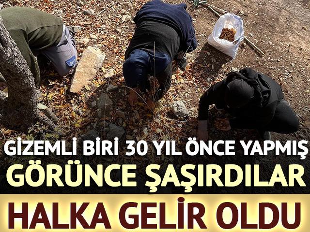 Gizemli kişi 30 yıl önce yapmış: Görünce şaşırdılar! Halka gelir oldu