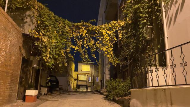 Perdeyi aralayınca arkadaşının cesedini gördü: İstanbul da yalnız yaşayan Maria nın şüpheli ölümü 6