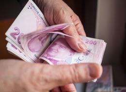 Vatandaşlık maaşının detaylarını 'aldığımız duyumlara göre' deyip açıkladı