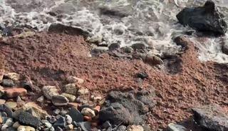 Tekirdağ’da poyraz kızıl yosun sürükledi