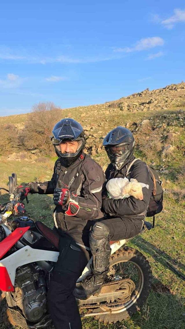 Tek başına buldukları yeni doğmuş kuzuyu 3 kilometre &ouml;tedeki annesi ile kavuşturdular 2
