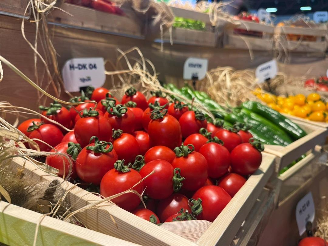 "Artık o ithalat iyice azaldı" Birçok ülkeye ihracatı yapılıyor 1