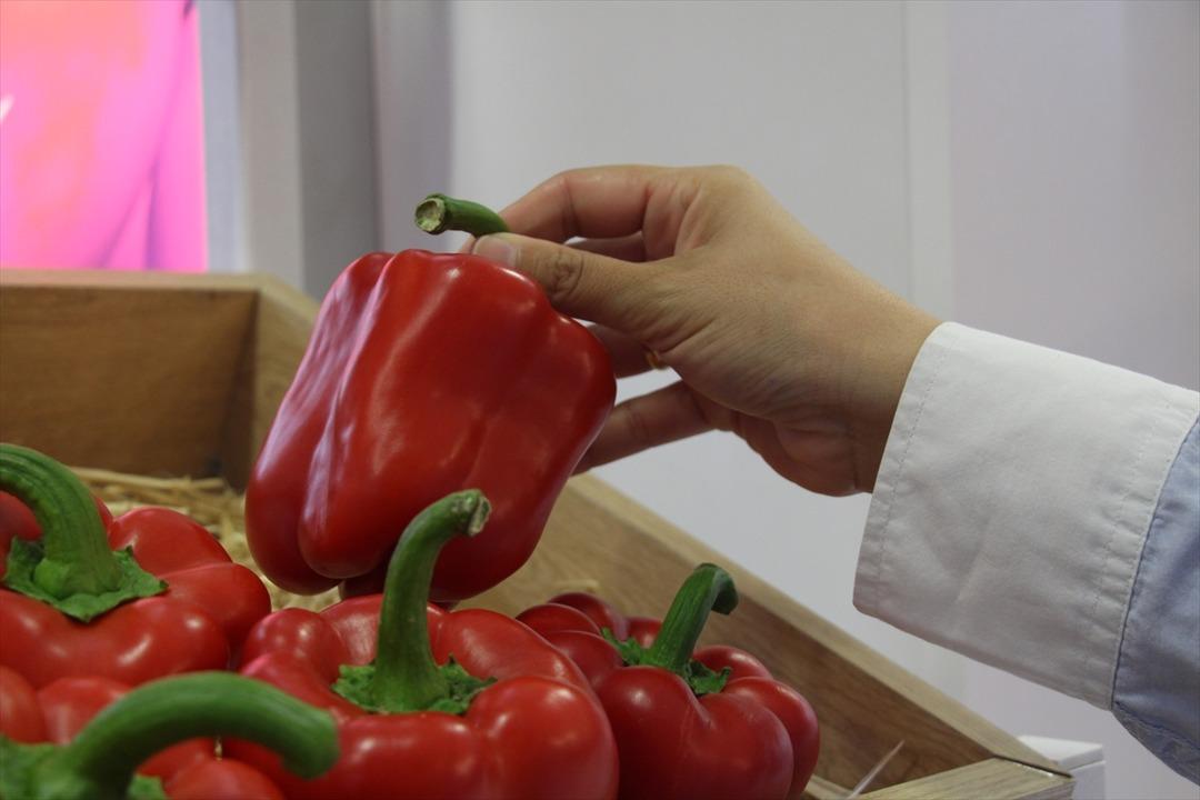 "Artık o ithalat iyice azaldı" Birçok ülkeye ihracatı yapılıyor 2