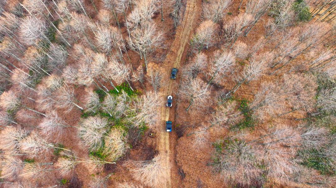 Sanayi şehri olarak bilinen ilde bir başka tablo: Akın ediyorlar 1