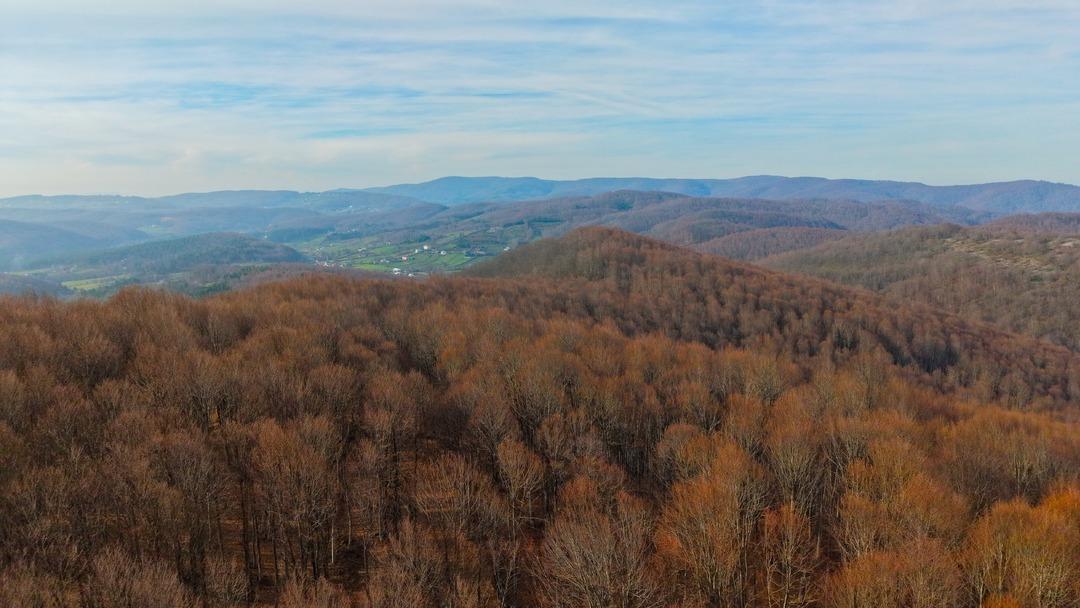 Sanayi şehri olarak bilinen ilde bir başka tablo: Akın ediyorlar 2