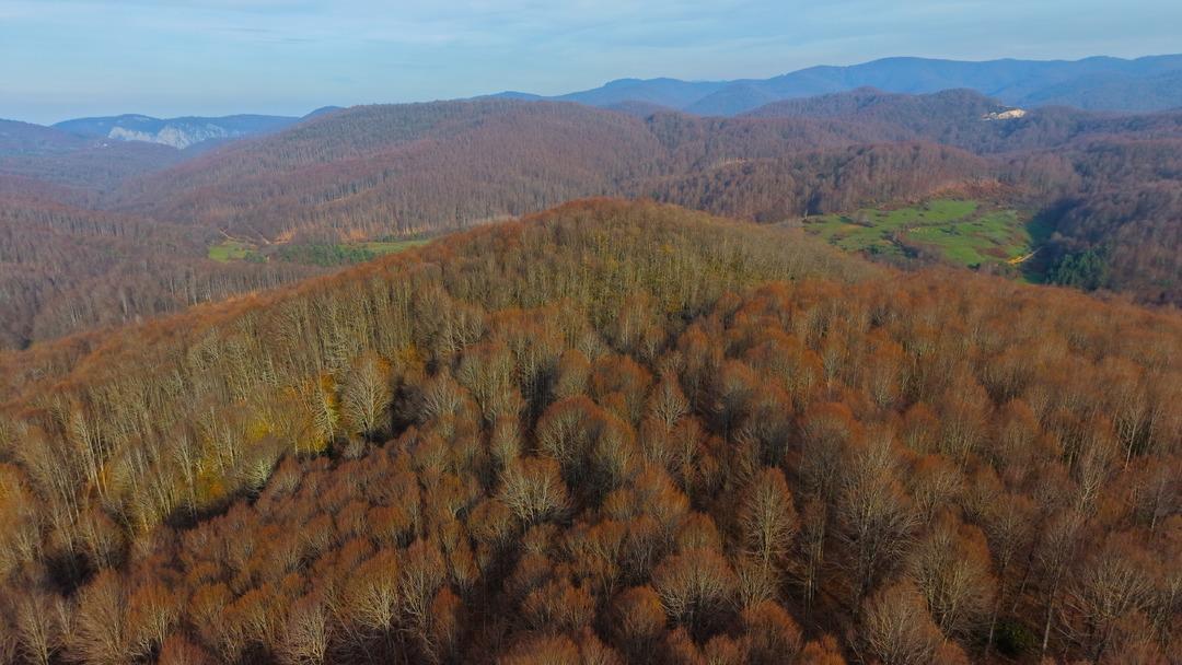 Sanayi şehri olarak bilinen ilde bir başka tablo: Akın ediyorlar 3