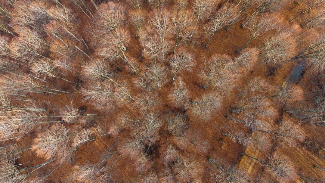 Sanayi şehri olarak bilinen ilde bir başka tablo: Akın ediyorlar 6