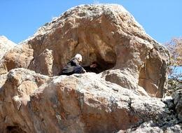 "Uluslararası arenada da yankı uyandıracaktır"