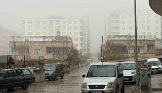 Siirt’te sis ve sağanak yağış etkili oldu