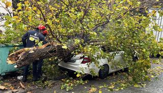 Beyoğlu'nda park halindeki aracın üzerine ağaç devrildi