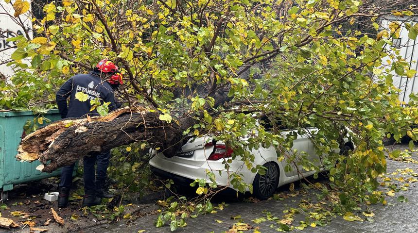 Beyoğlu'nda park halindeki aracın üzerine ağaç devrildi