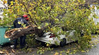 Beyoğlu'nda park halindeki aracın üzerine ağaç devrildi