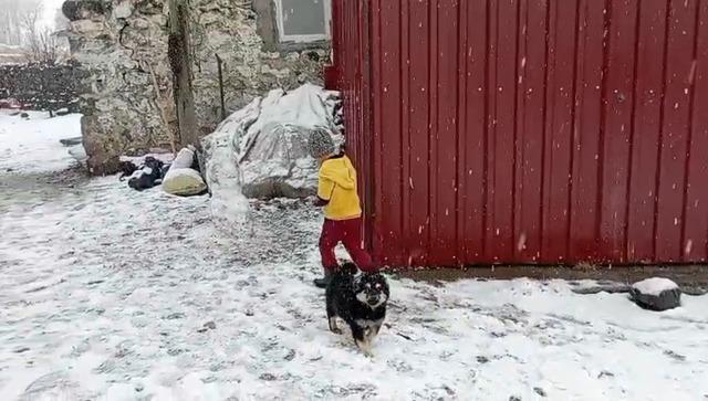 Kars’ta kar coşkusu: Çocuklar kardan adam yaptı, kızak kaydı 4