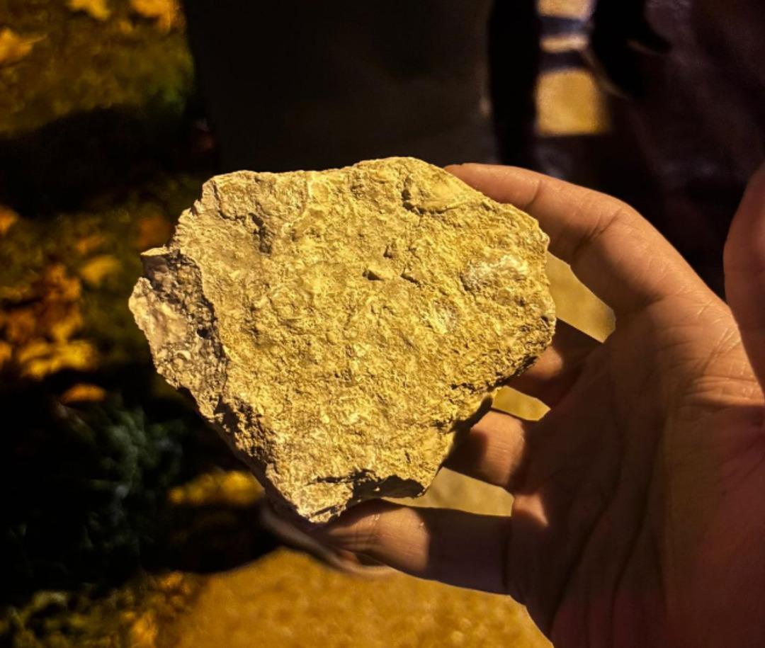 Göksenin Köksal dan Galatasaray a küfür! Gerginlik salon dışına sıçradı, takım otobüsü taşlandı 2