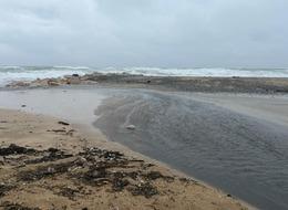 İSKİ’nin Karaburun Tesisi'nde tepki çeken görüntü