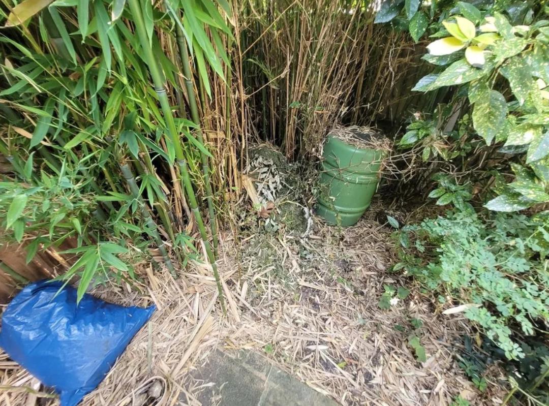 Aldığı bahçeli ev hayatını kabusa çevirdi! 10 yıl sonra ortaya çıkıp her yeri kapladı 3