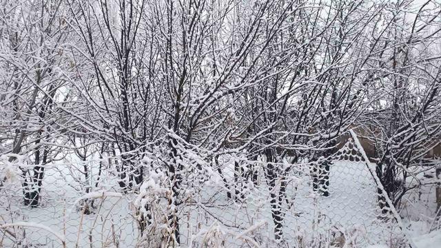 Başkale beyaza bürüdü 14