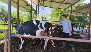 Milas'ta "şap hastalığı" nedeniyle 11 mahalle karantinaya alındı